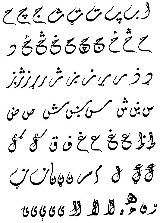 Muster_diwani