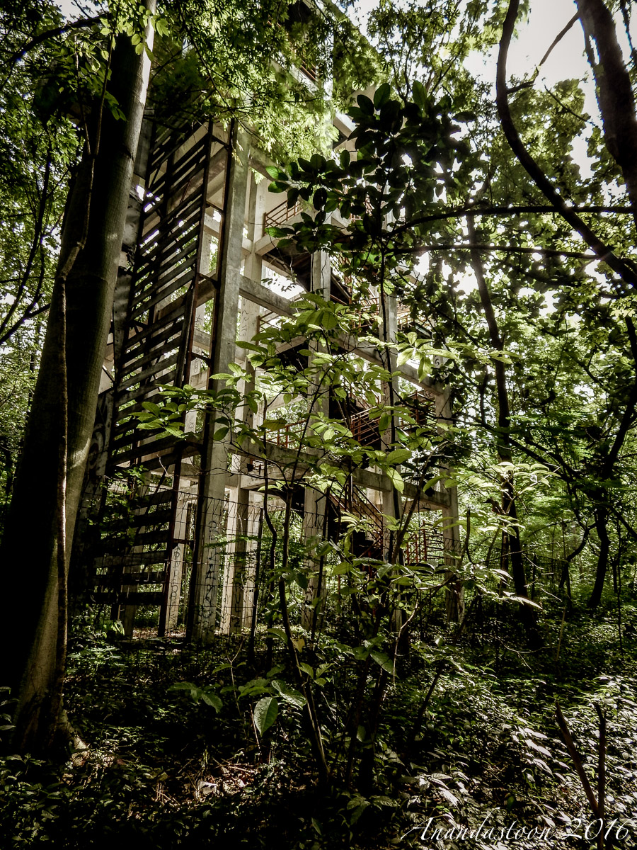 Hutan Kota Srengseng