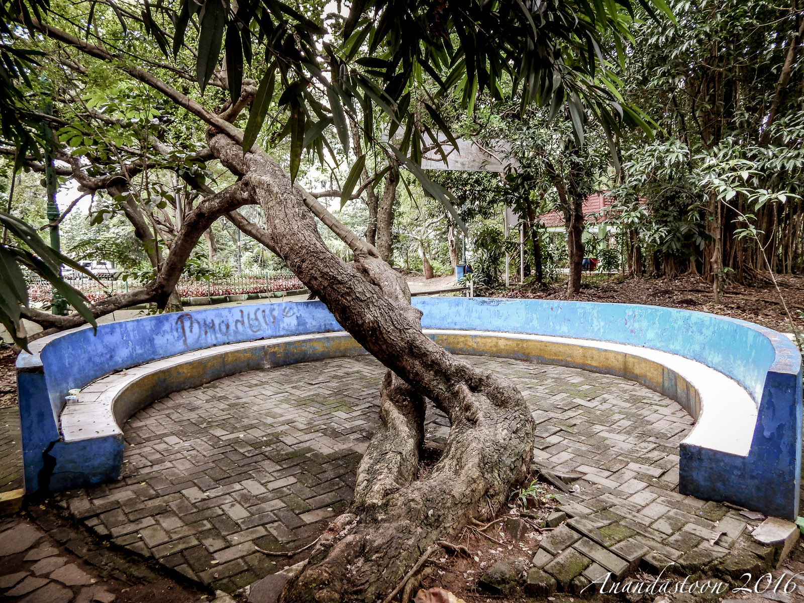 Hutan Kota Srengseng