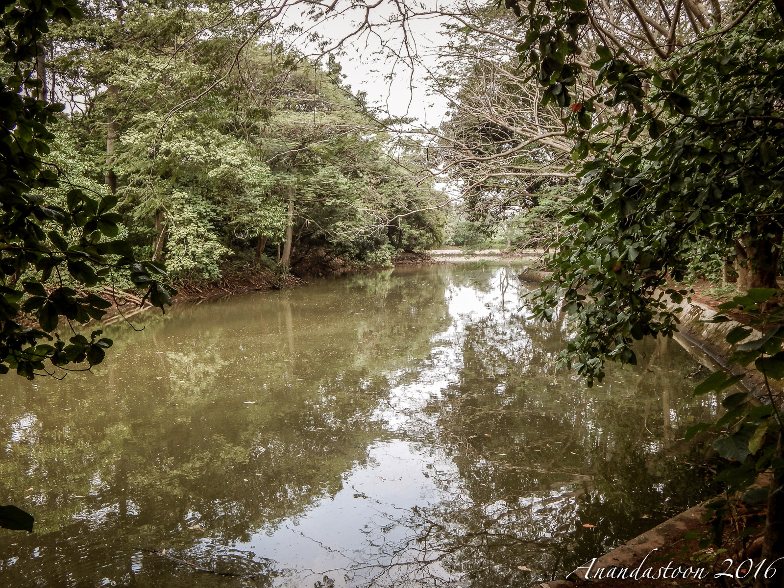Hutan Kota Srengseng