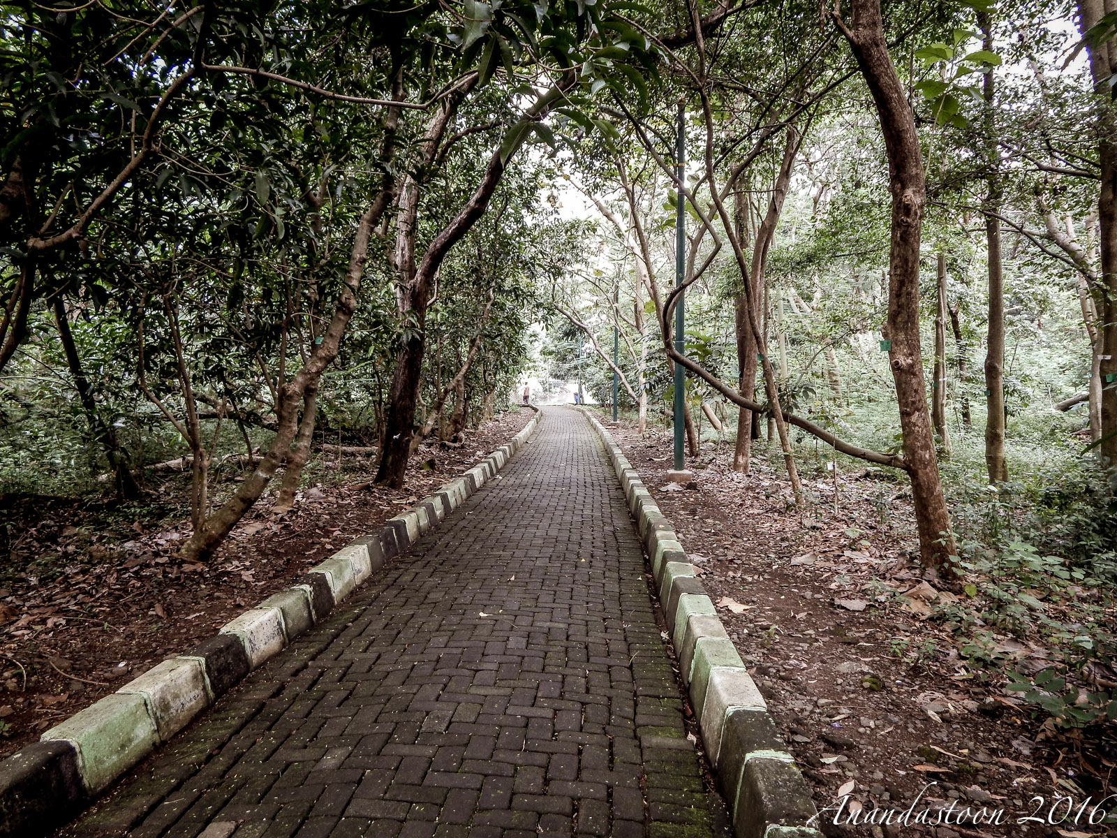 Hutan Kota Srengseng