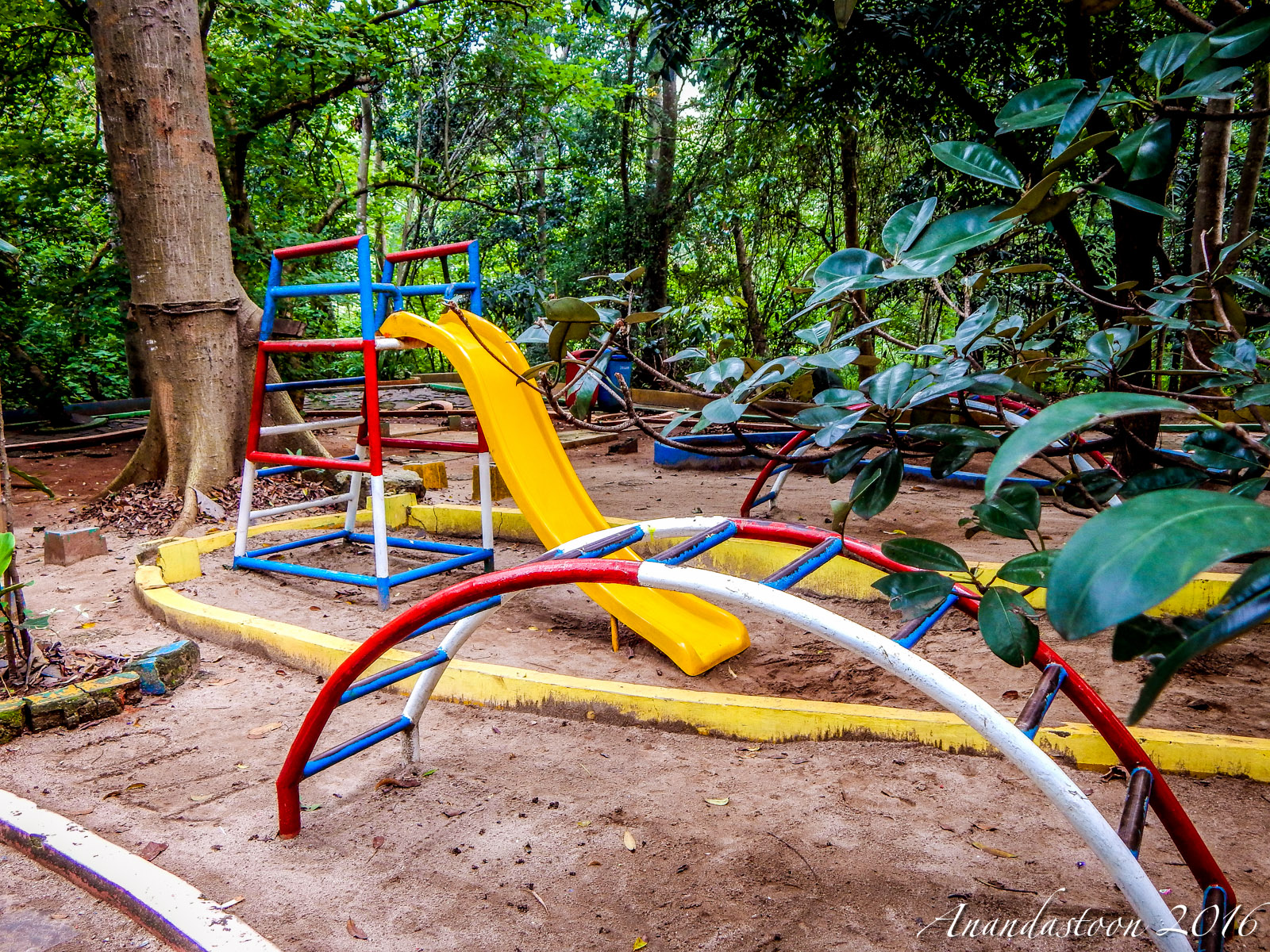 Hutan Kota Srengseng