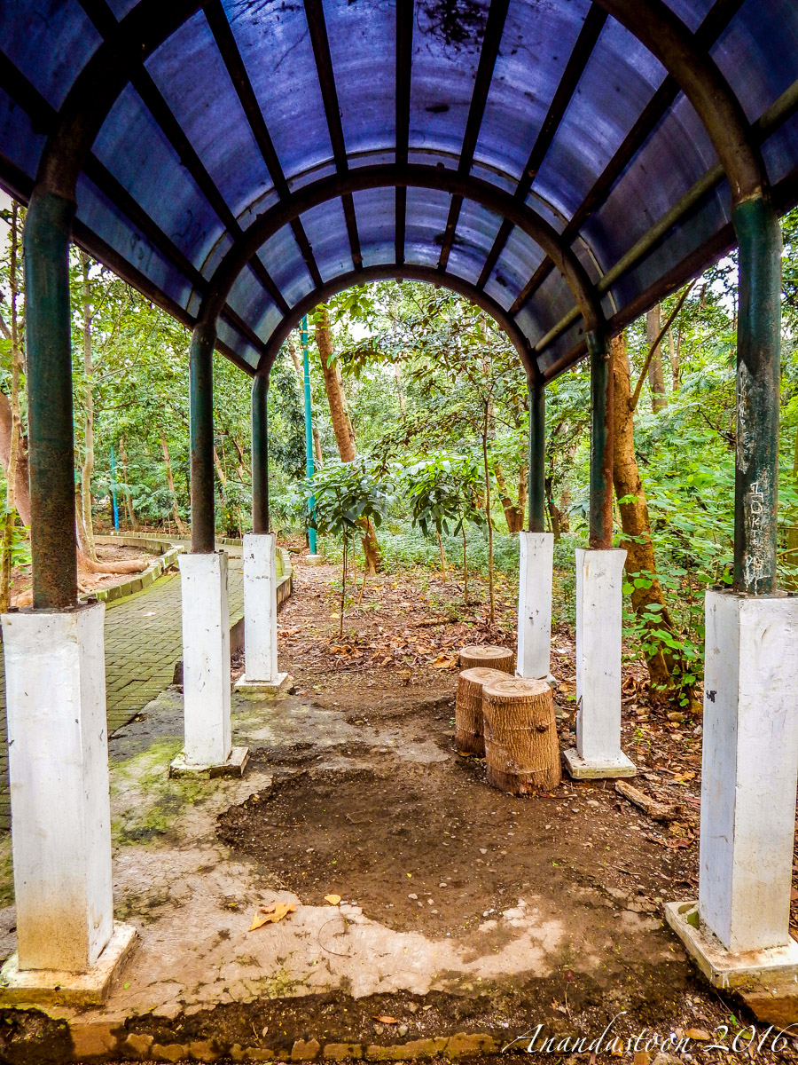 Hutan Kota Srengseng