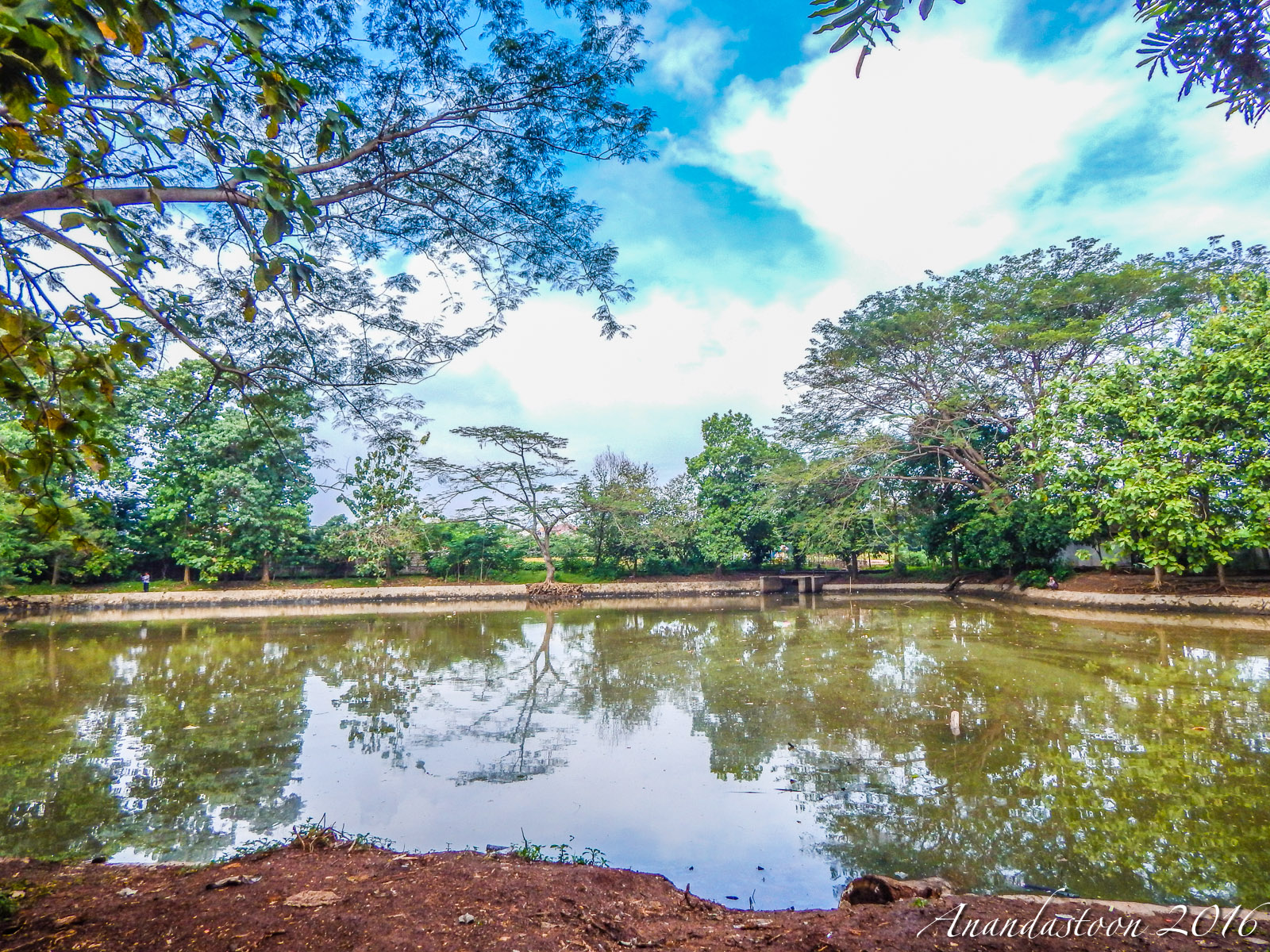 Hutan Kota Srengseng