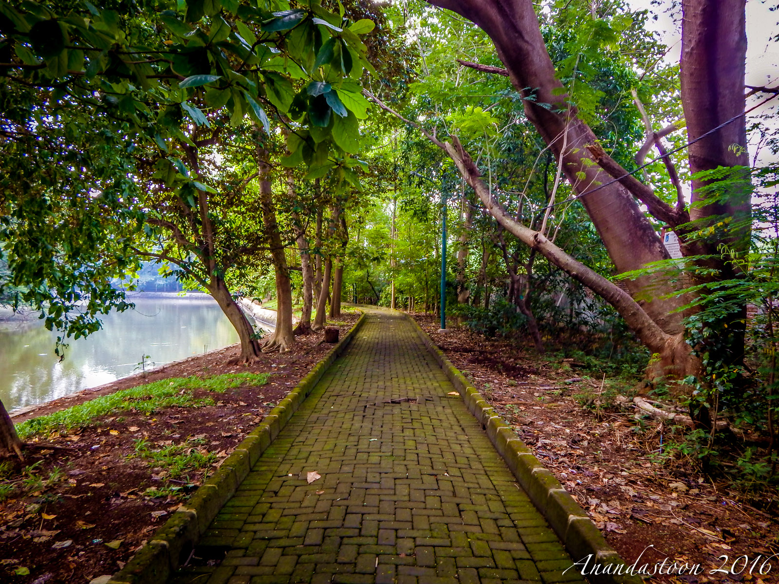 Hutan Kota Srengseng