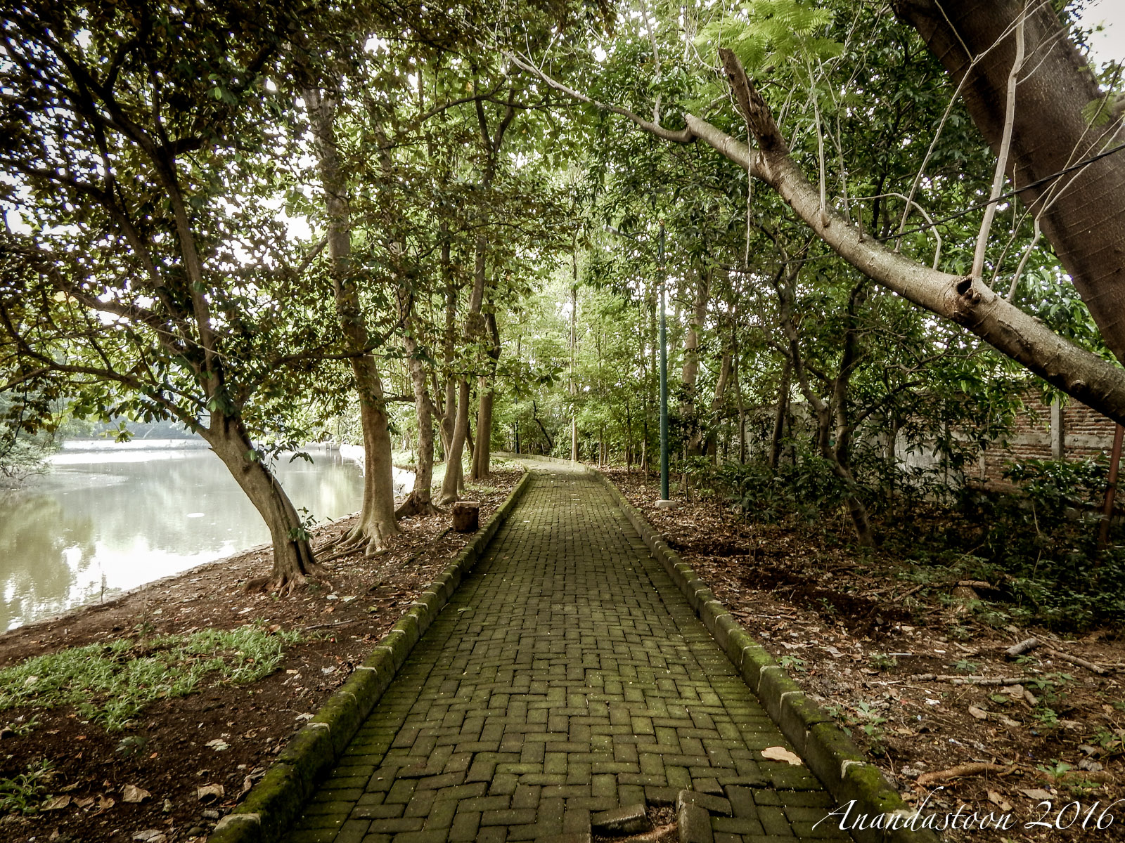Hutan Kota Srengseng