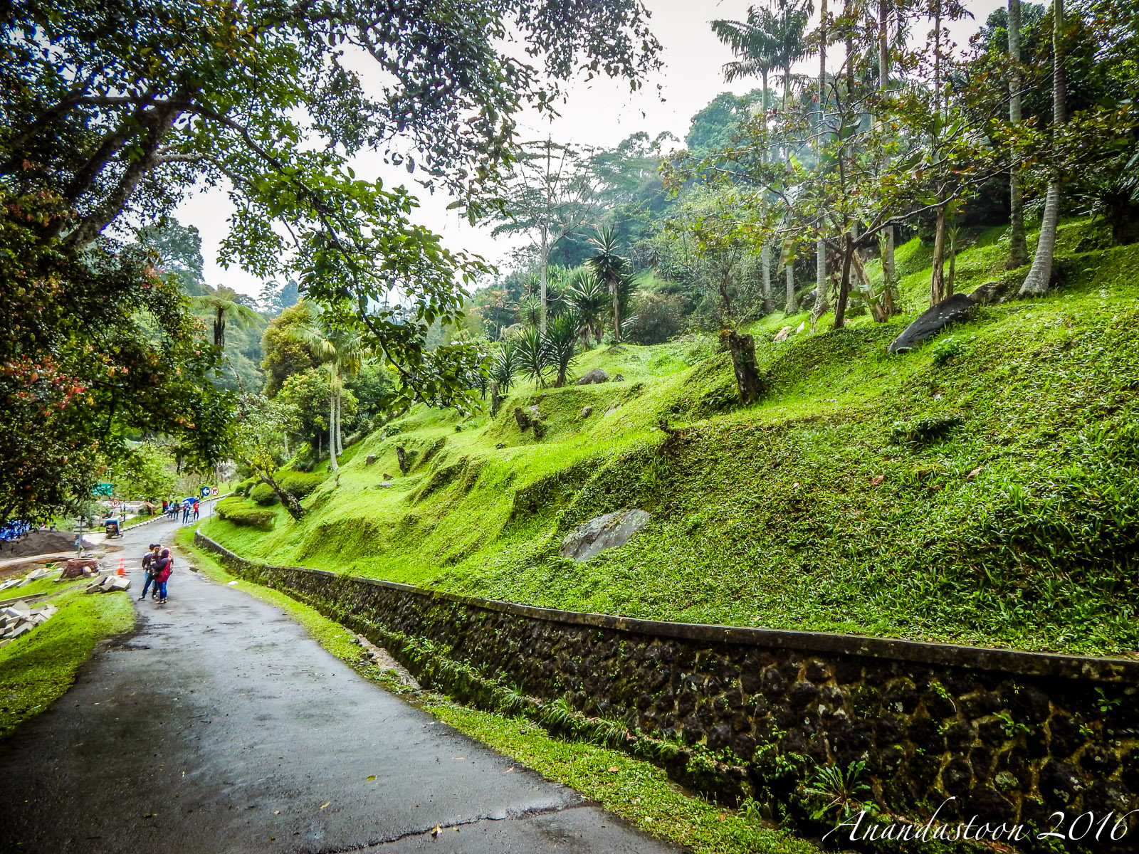 Kebun Raya Cibodas