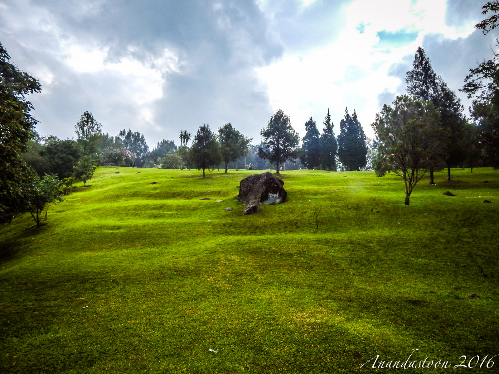 Kebun Raya Cibodas