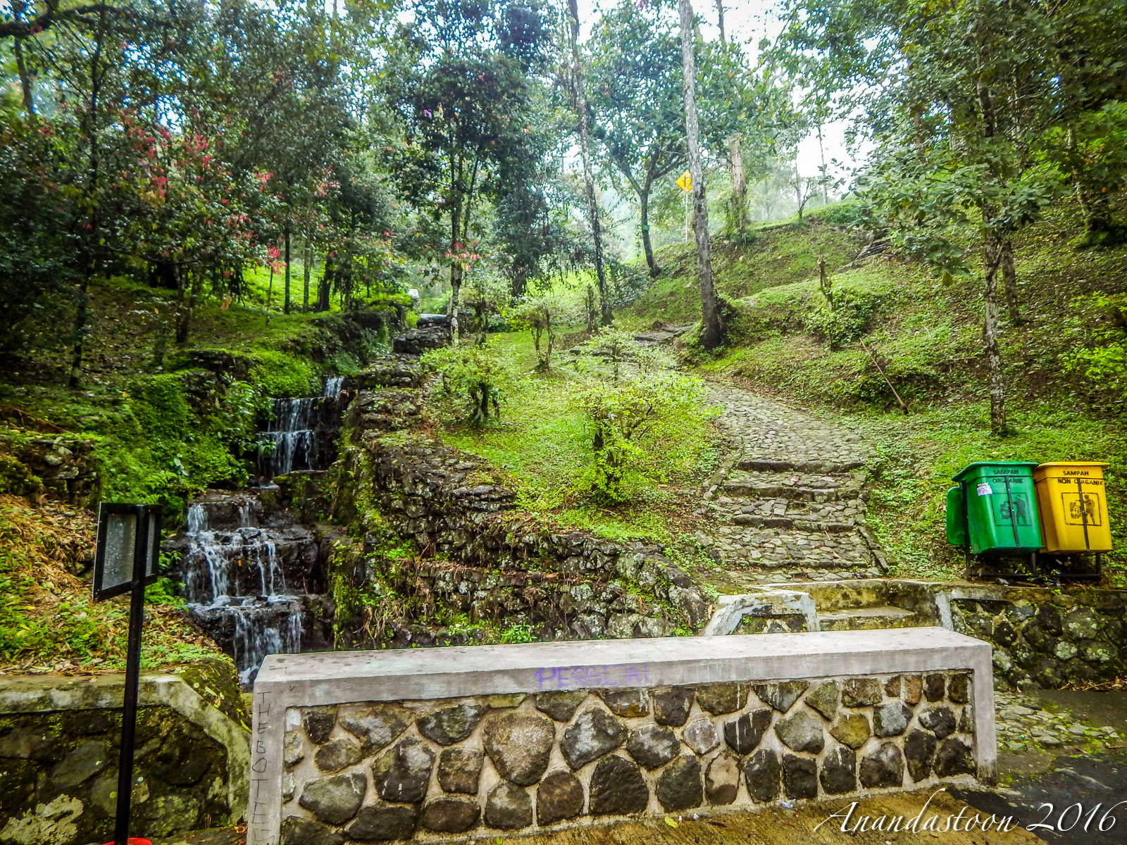 Kebun Raya Cibodas