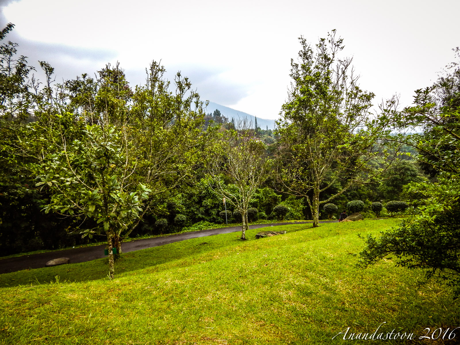 Kebun Raya Cibodas