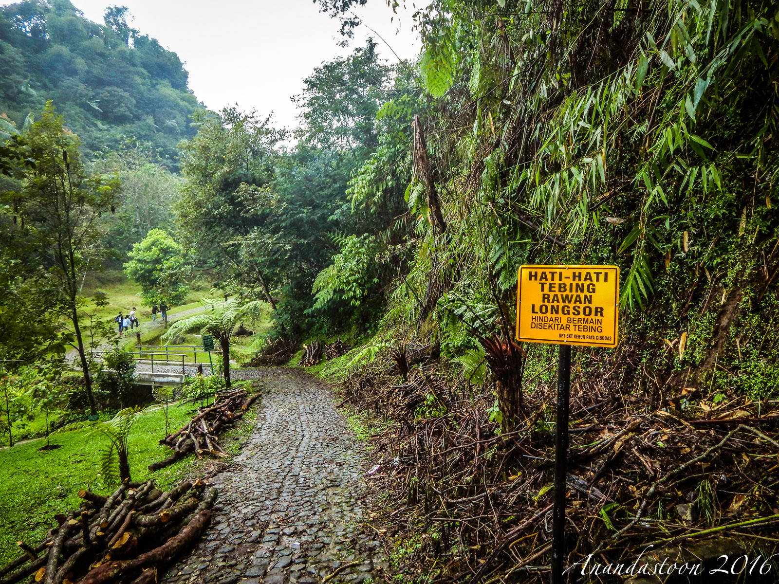 Kebun Raya Cibodas