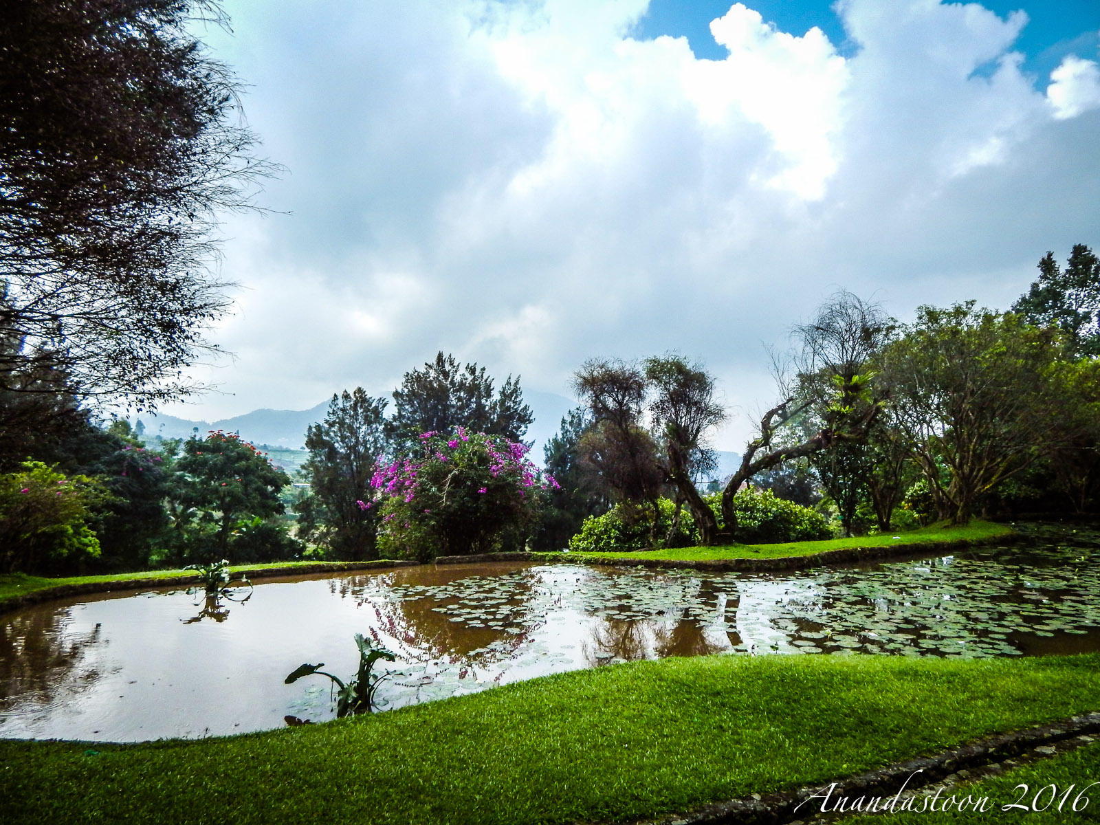Kebun Raya Cibodas