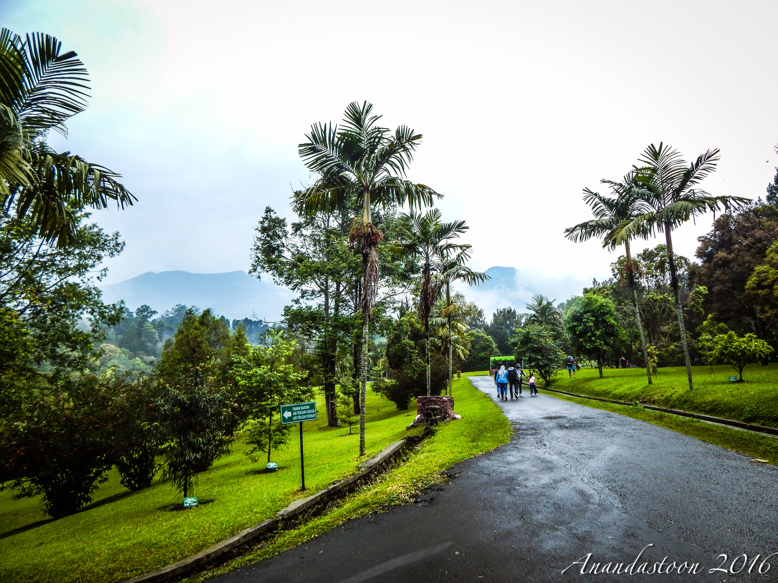Kebun Raya Cibodas