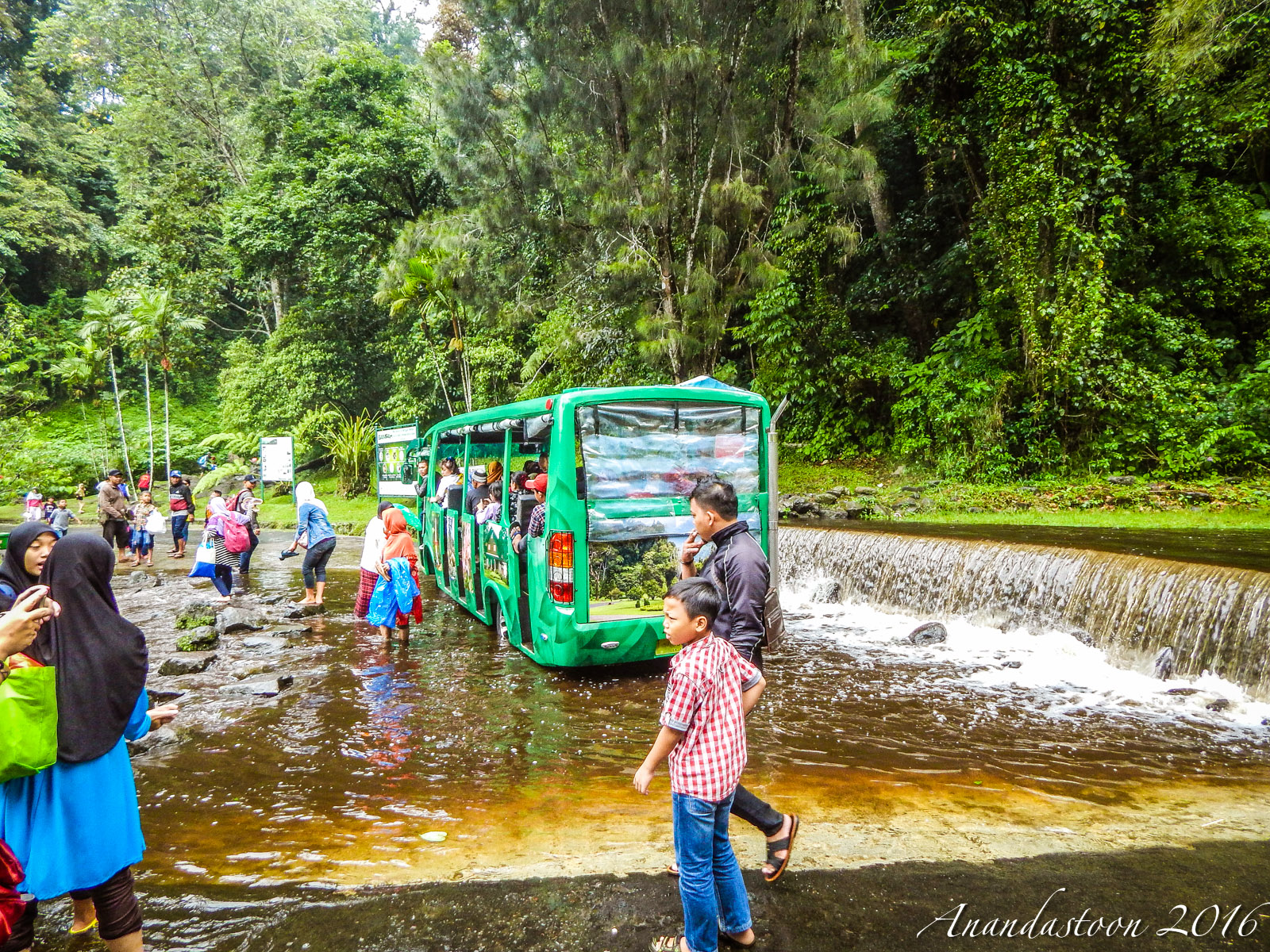 Kebun Raya Cibodas