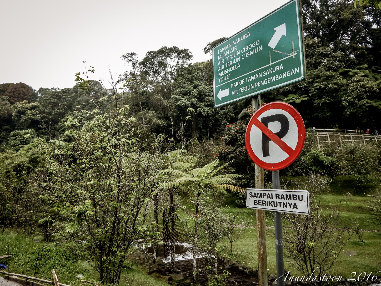 Kebun Raya Cibodas