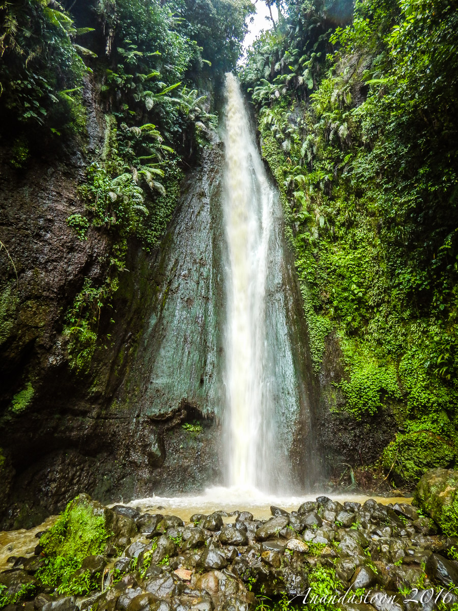 Kebun Raya Cibodas