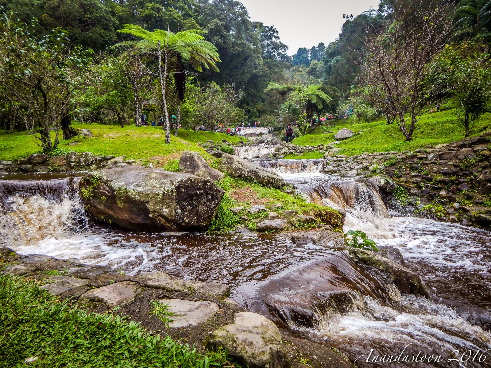 Kebun Raya Cibodas