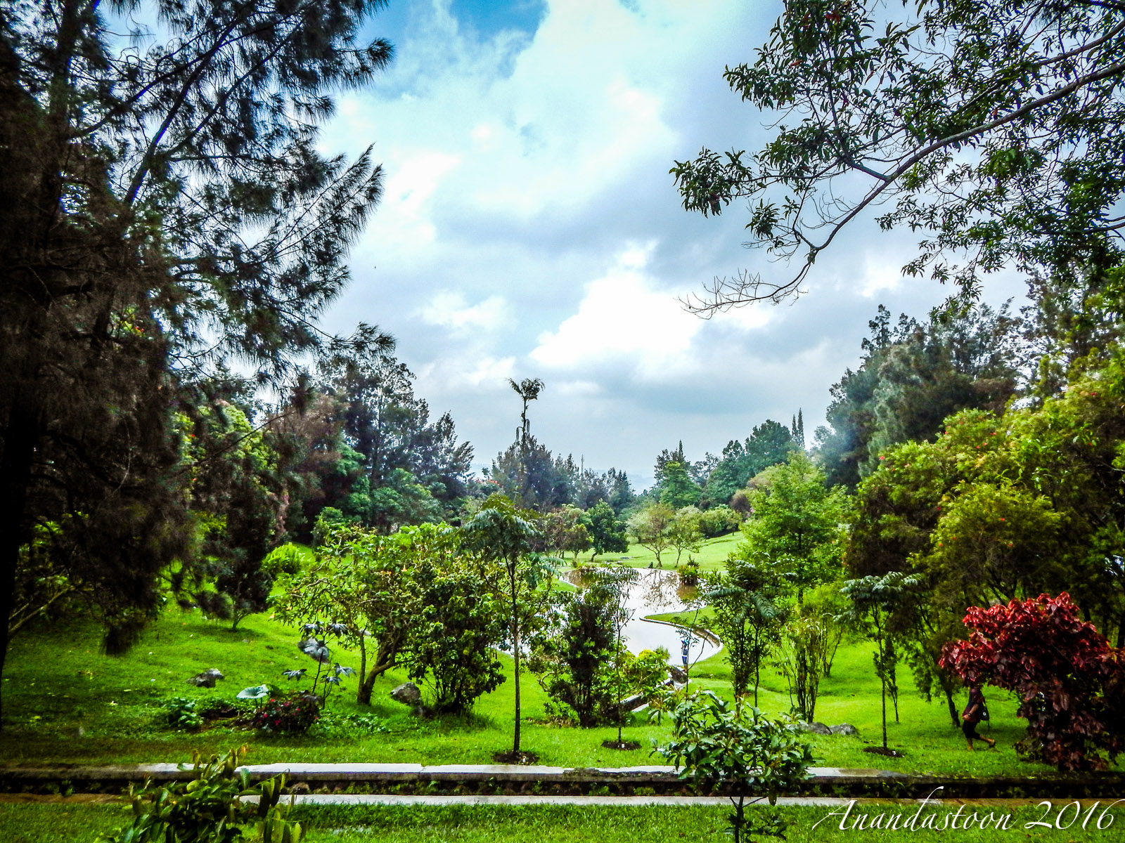 Kebun Raya Cibodas