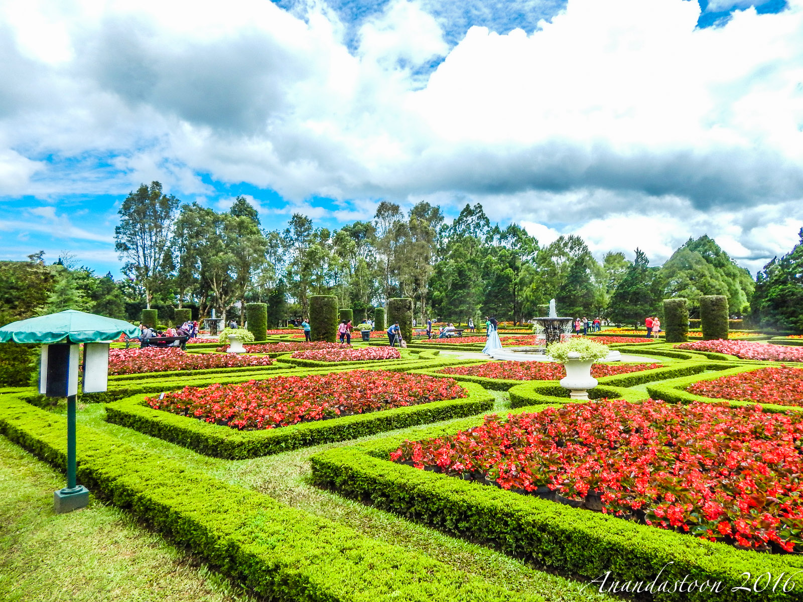 Download 1030+ Background Pemandangan Taman Bunga Paling Keren