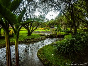 Taman Bunga Nusantara