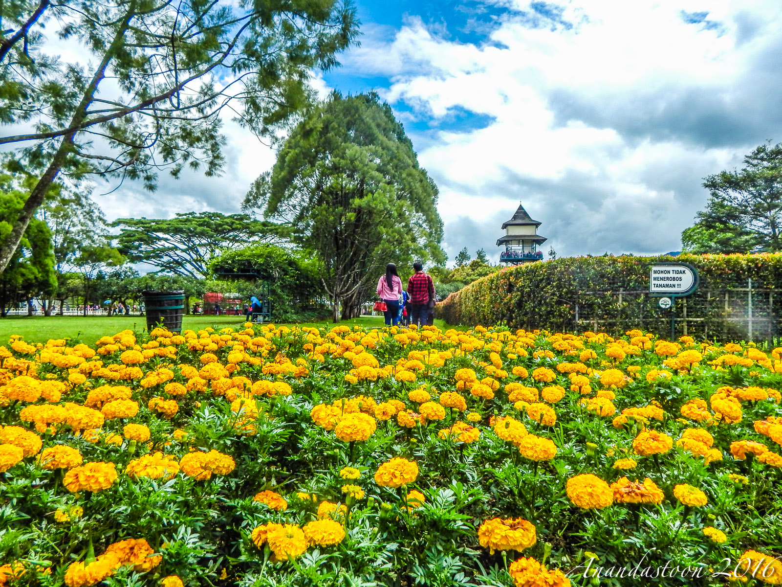Taman Bunga Nusantara