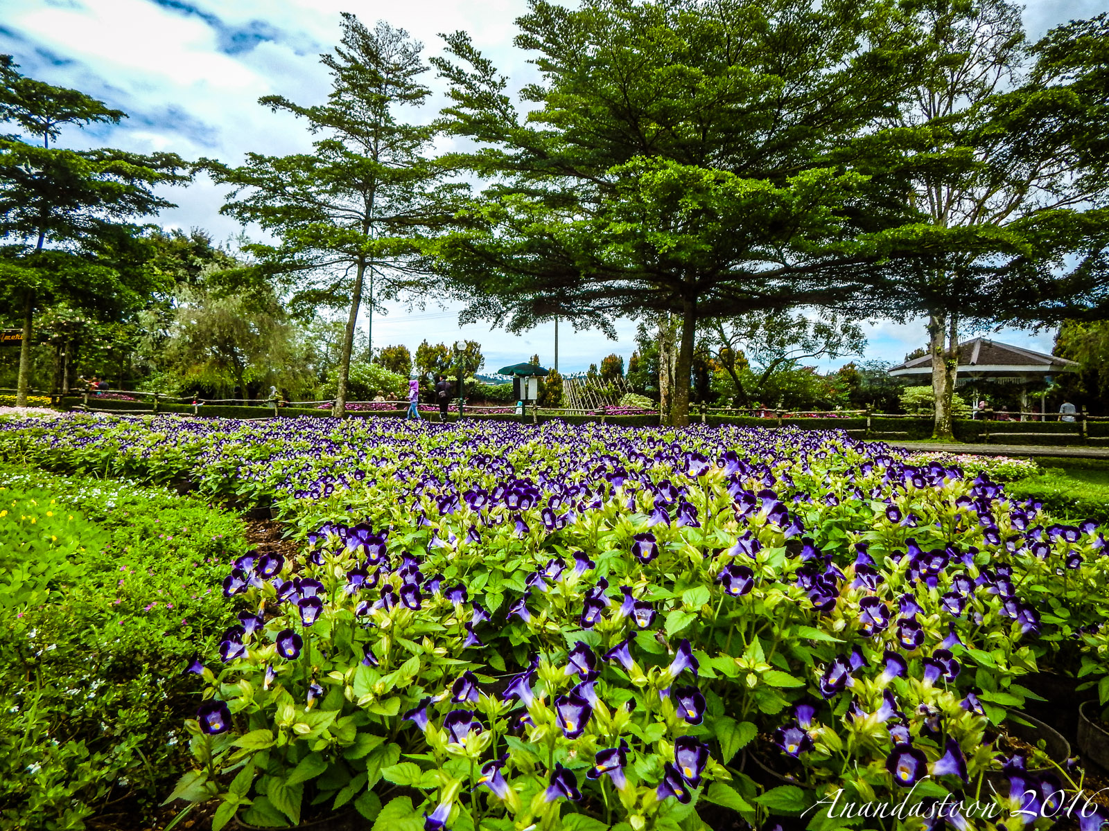 Taman Bunga Nusantara