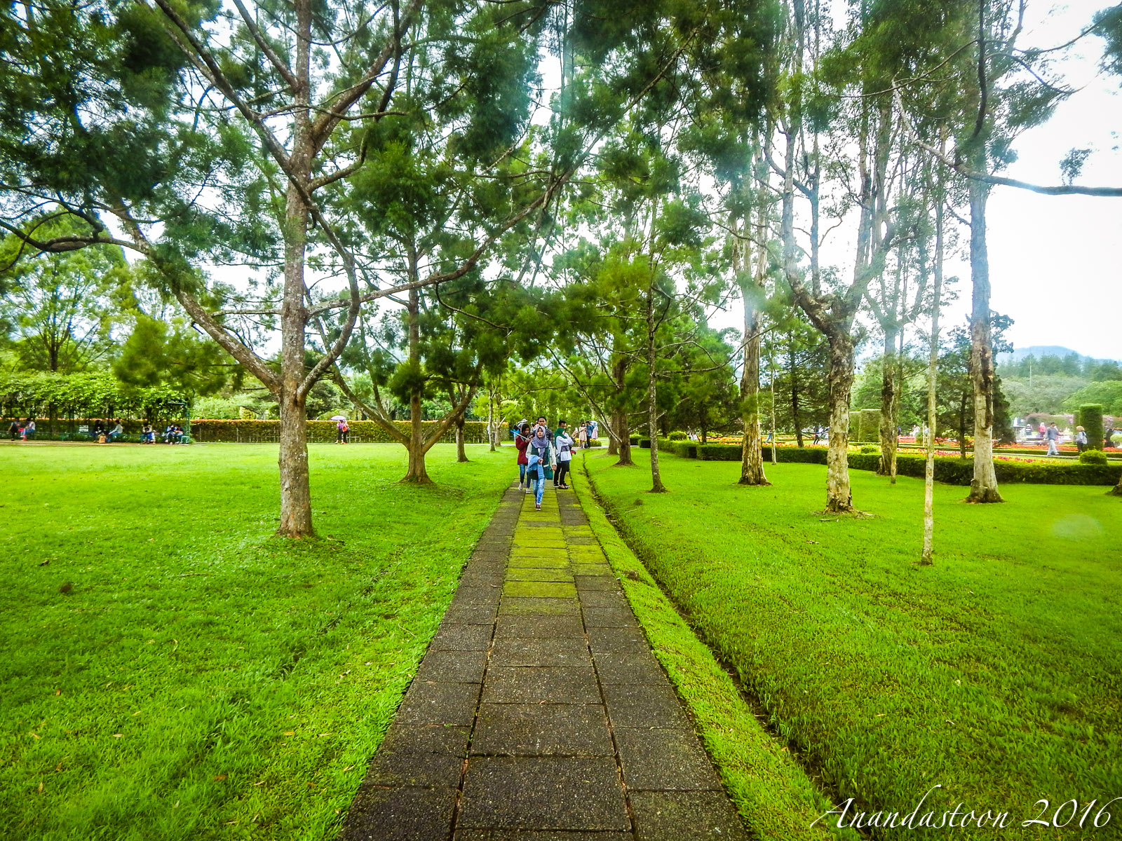 Taman Bunga Nusantara