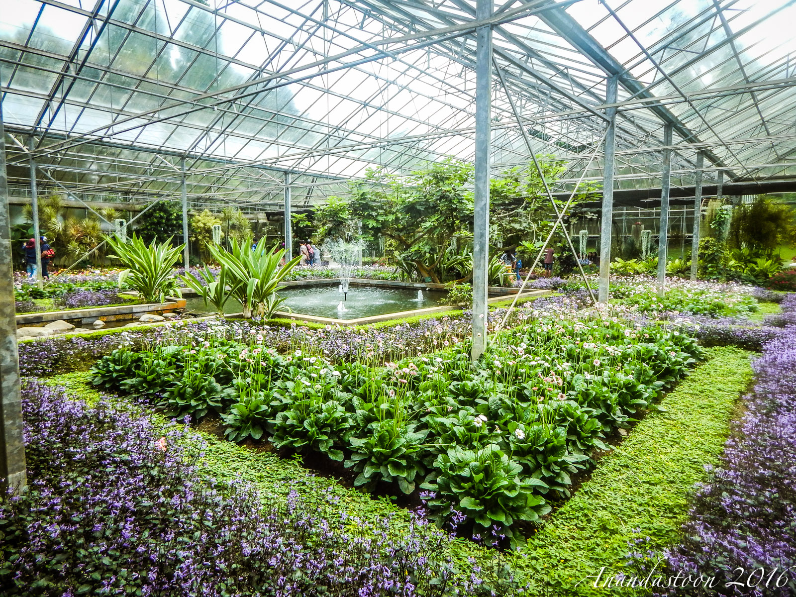 Taman Bunga Nusantara
