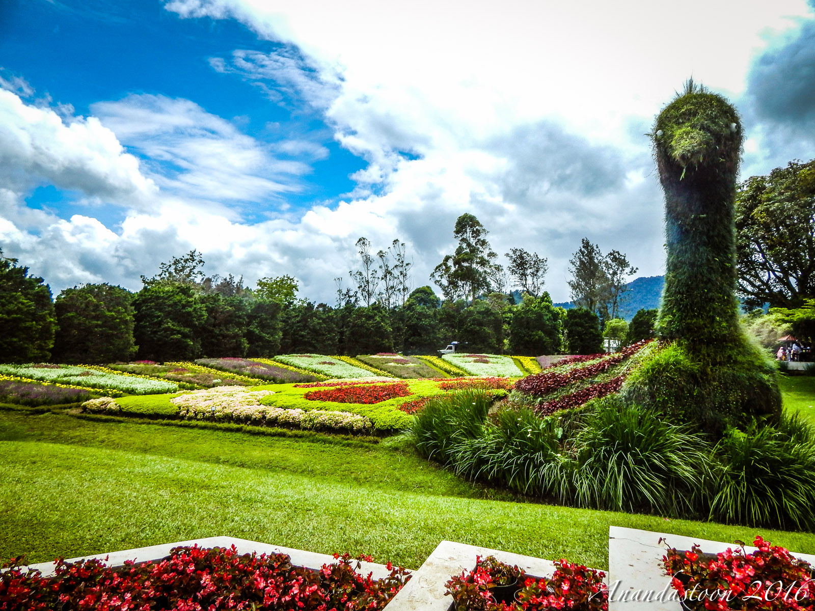 Taman Bunga Nusantara
