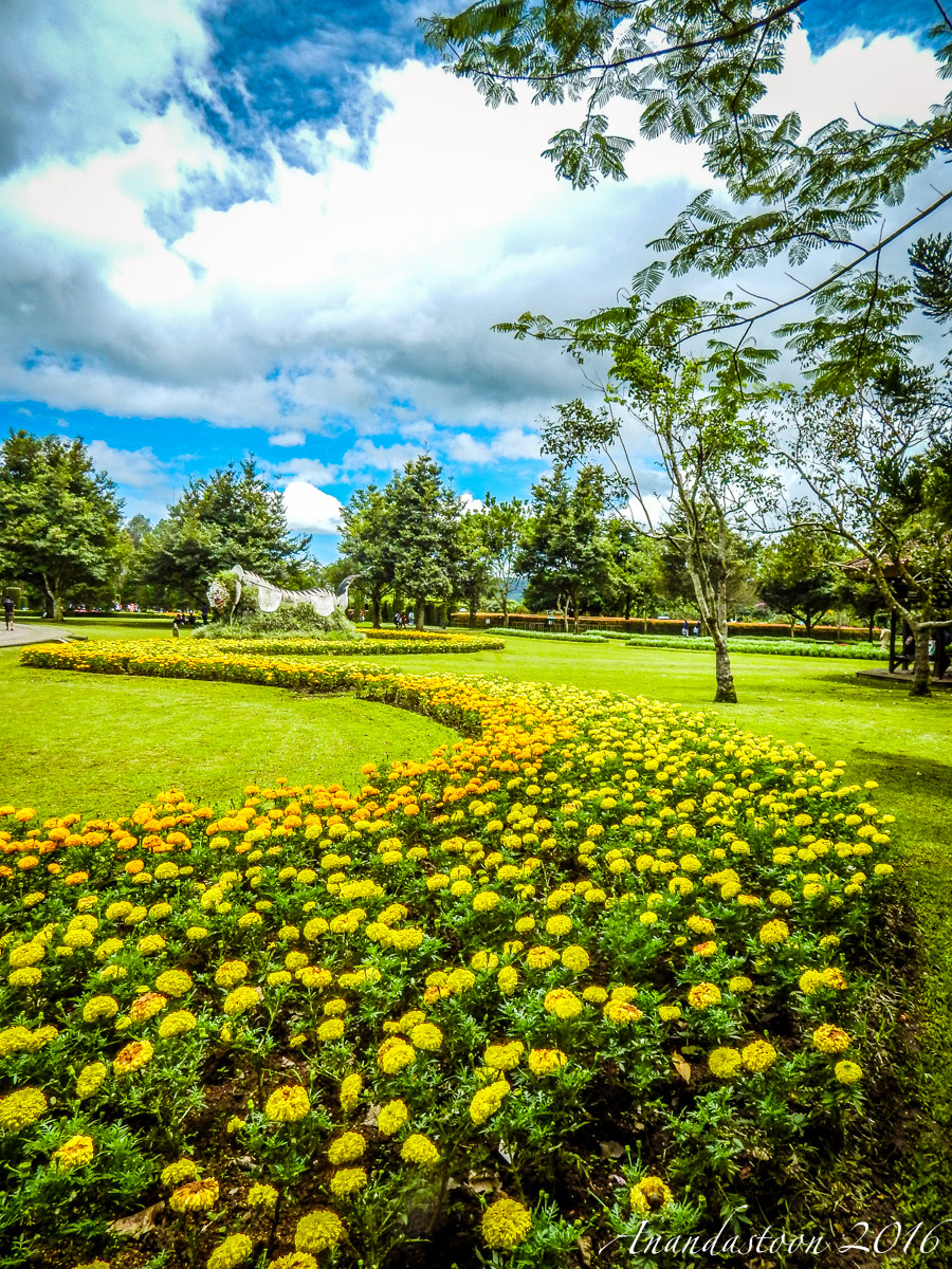 Taman Bunga Nusantara