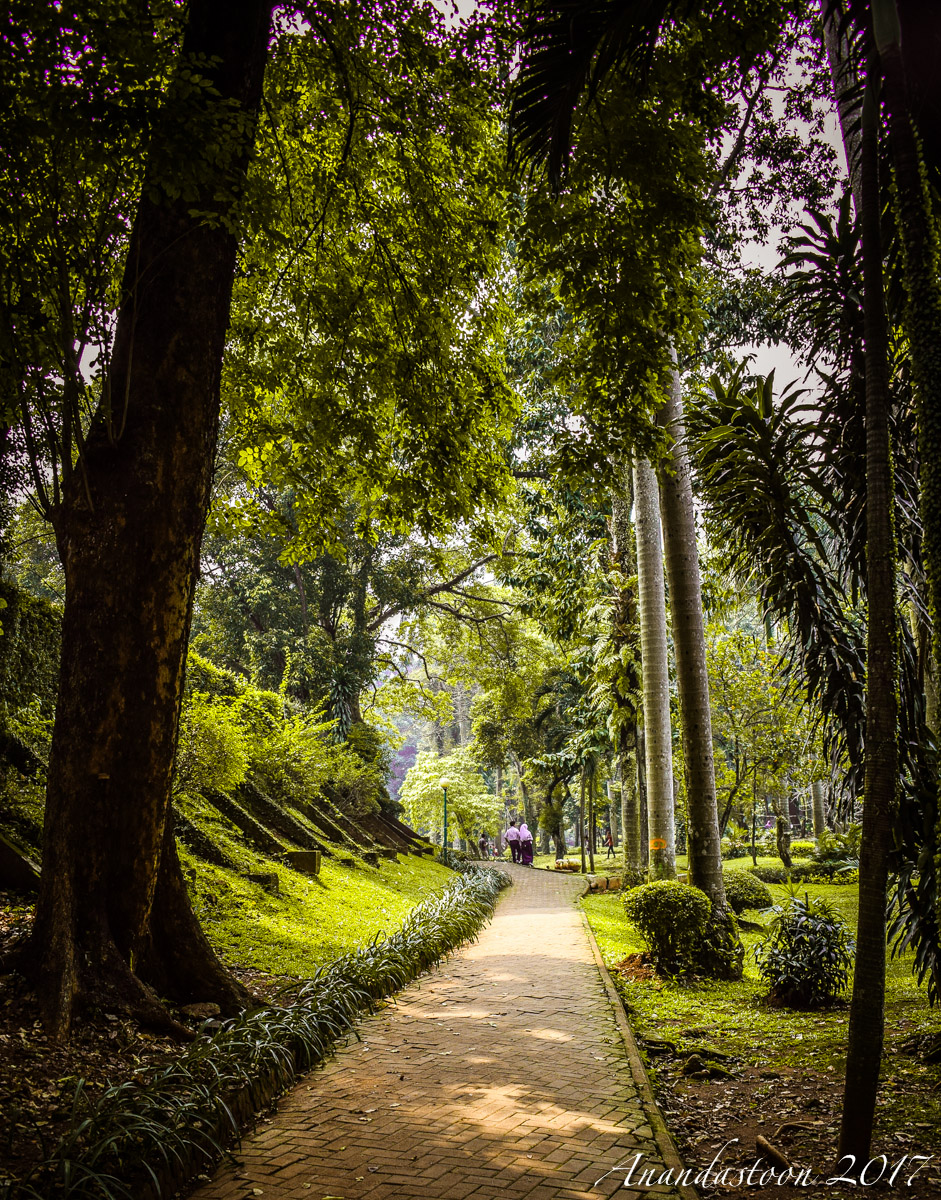 grantnsaipan: Taman Langsat Jakarta Selatan