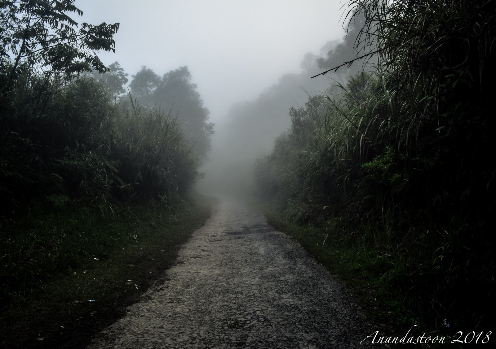 Kawah Gunung Talaga Bodas