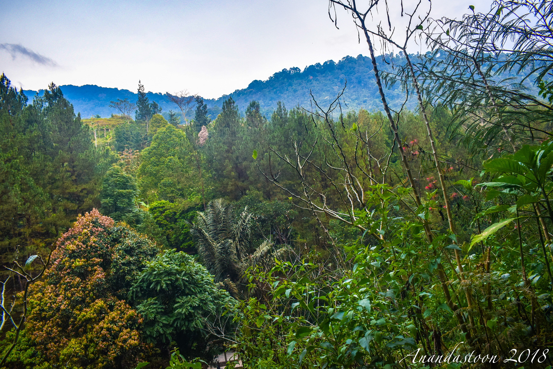 curug panjang