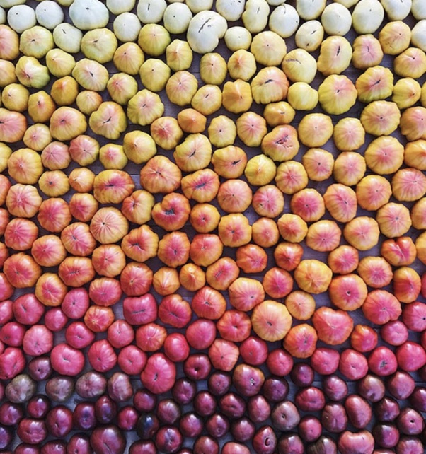 makanan yang menyenangkan