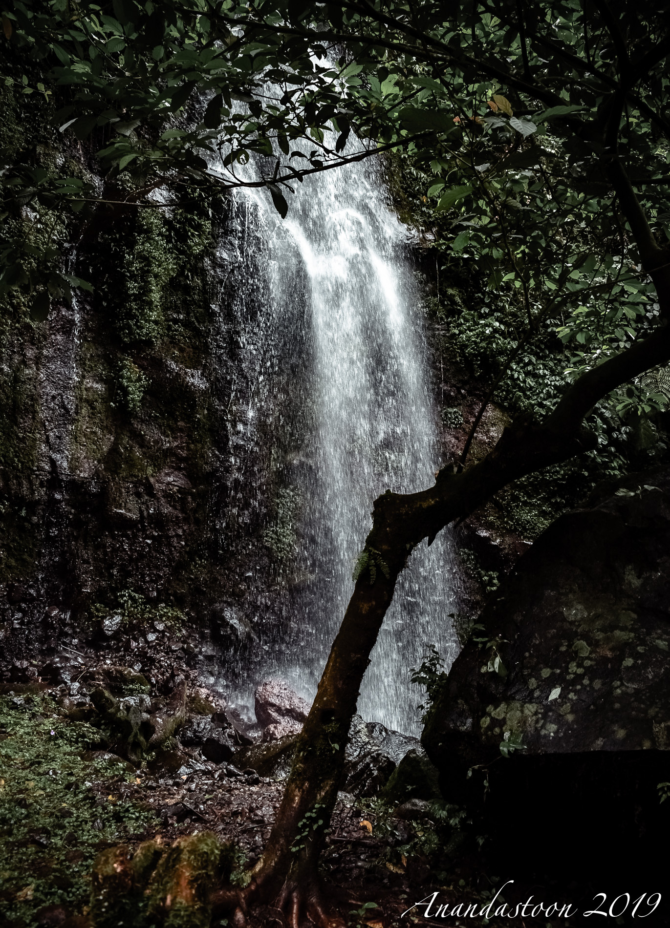 Curug Ciampea