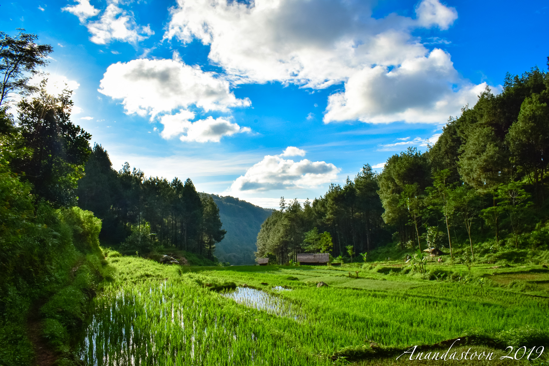 Curug Ciampea