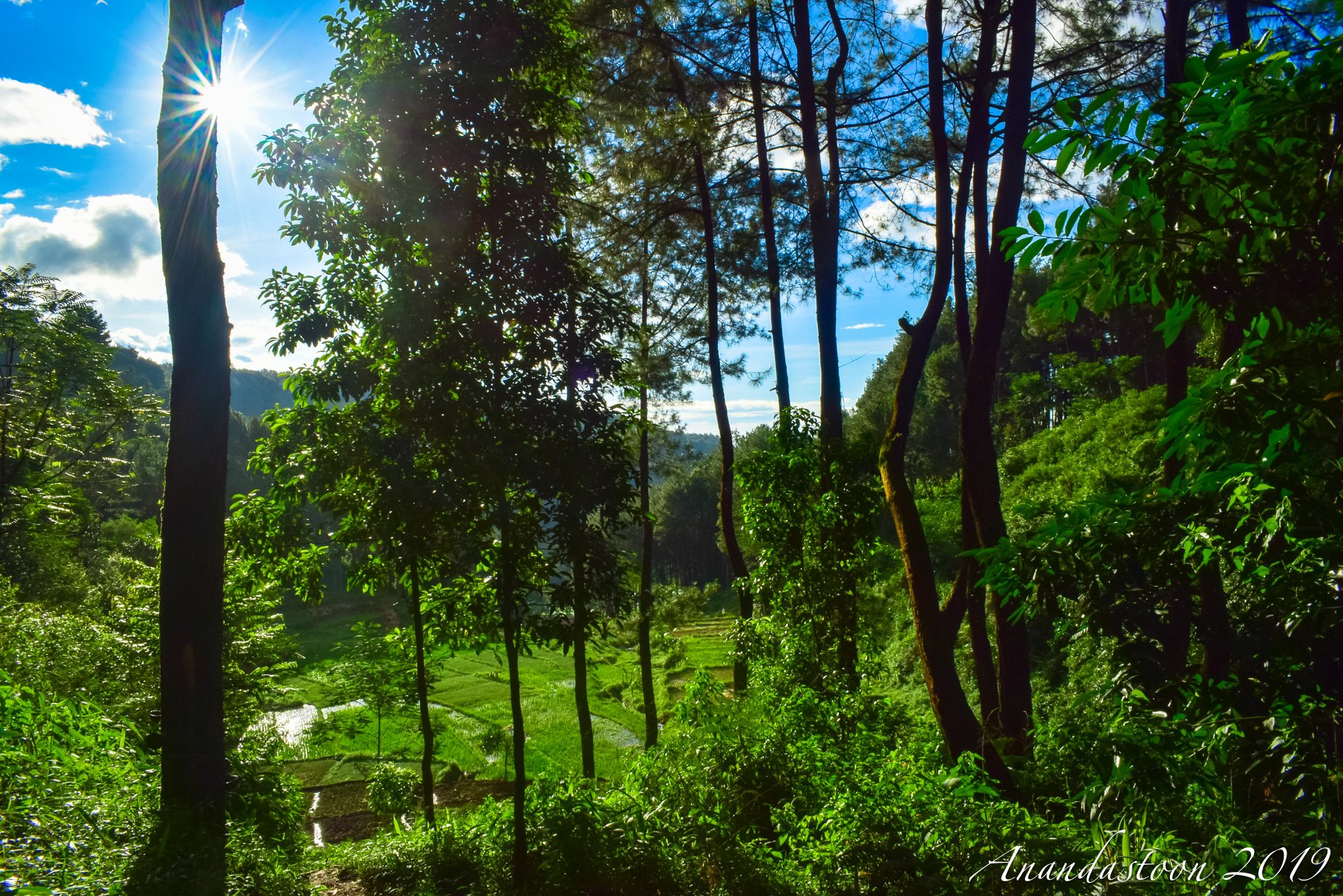 Curug Ciampea