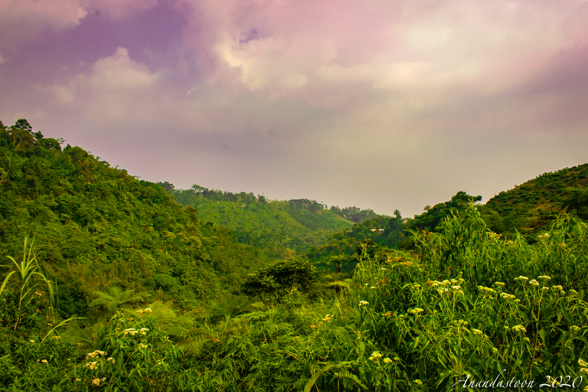 Curug Sentral - Anandastoon