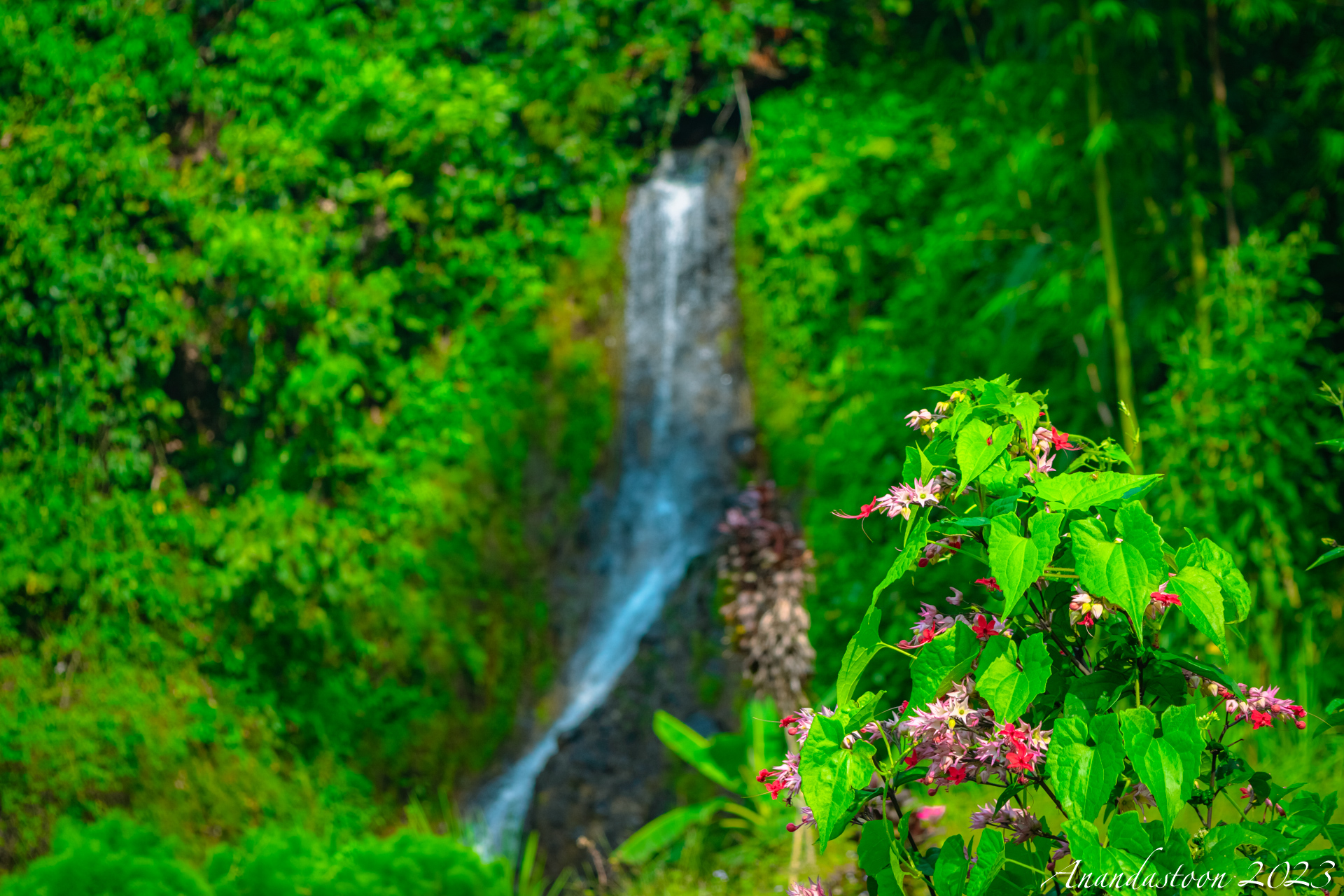 Curug Citiis