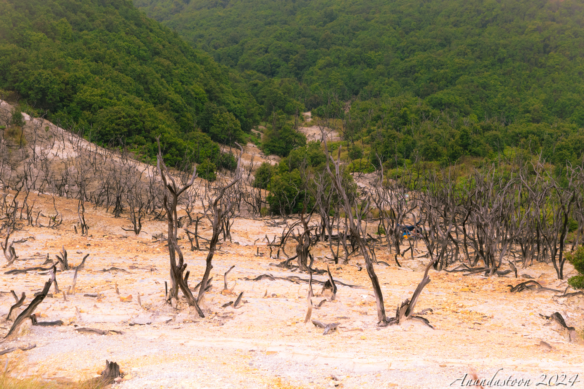 Gunung Papandayan