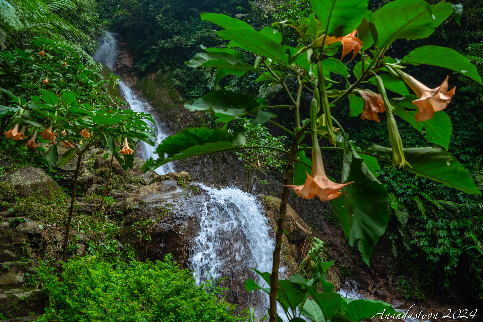 curug arca