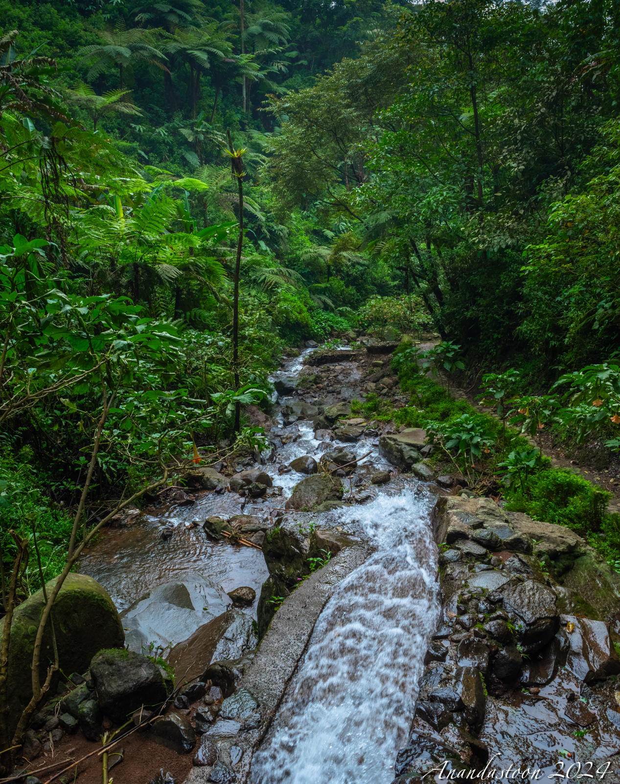 curug arca