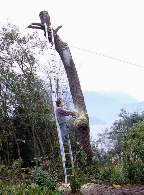 Berumur Lebih Panjang