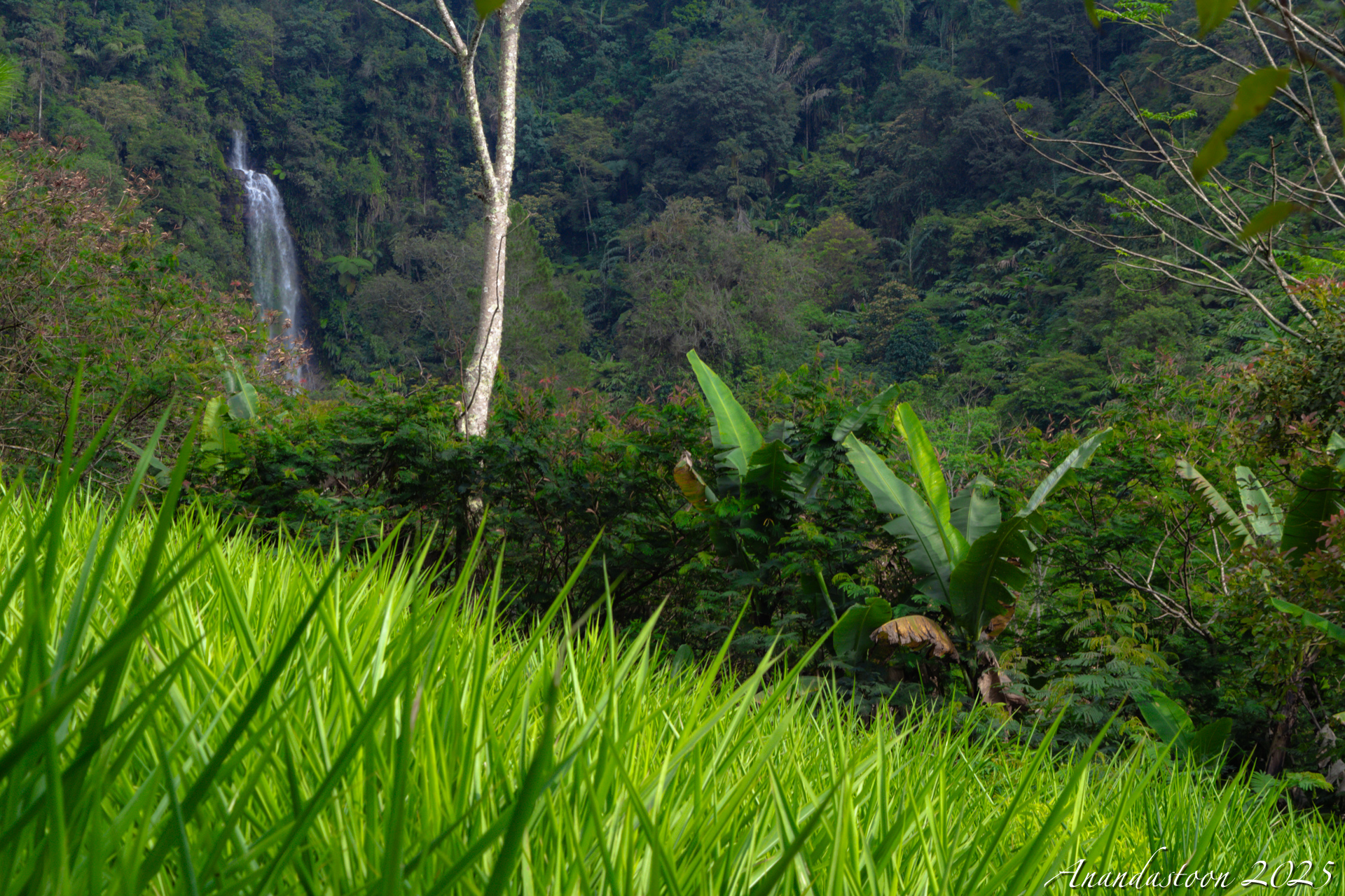Curug Cisarua