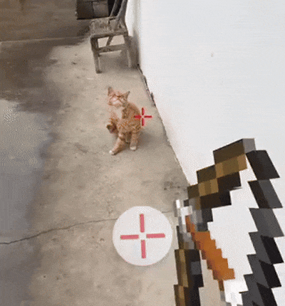 animasi gif kucing