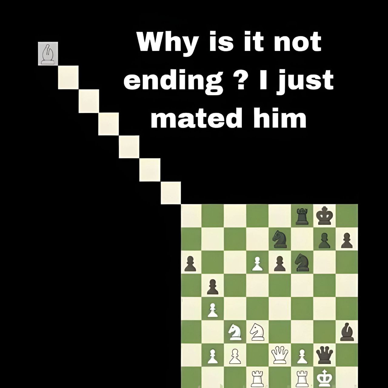 Meme Catur