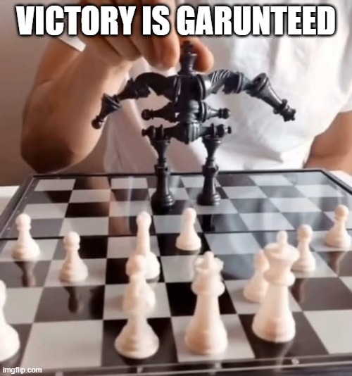 Meme Catur