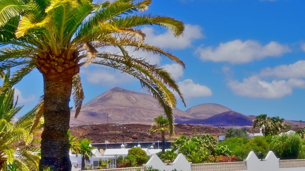 The Canary Islands