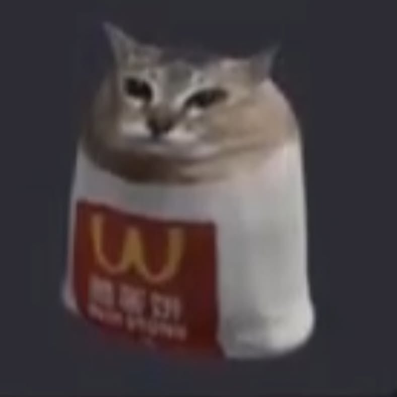 meme kucing